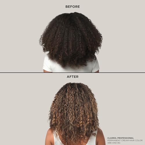 Clairol Professional BW2+ Powder Lightener, 1 Oz. Highlights