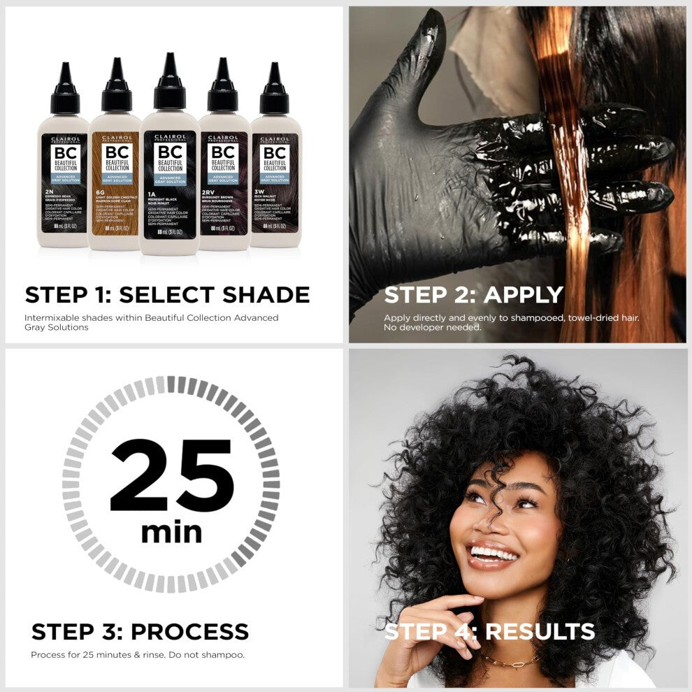 Clairol Advanced Gray Solutions Black Onyx 3 Oz