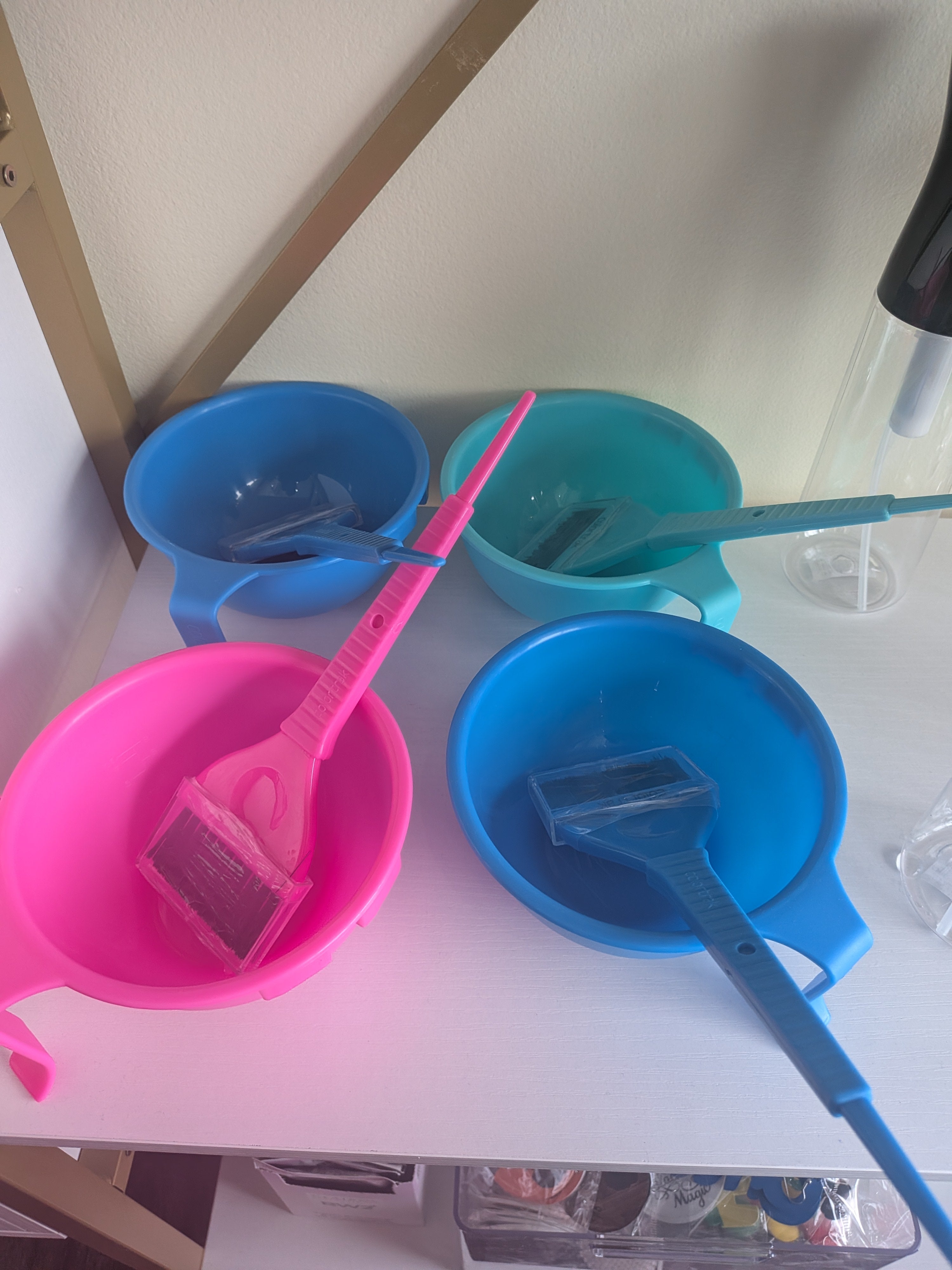 Hair Dye Bowl and Brush Set