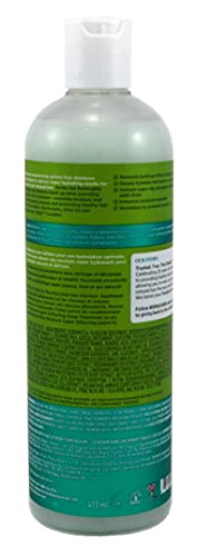 Olive Oil Rice water & Electrolytes Shampoo 16 Oz