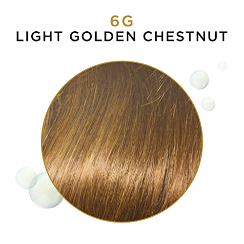 Clairol Advanced Gray Solutions Light Golden Chestnut, 0.21 Oz, Pack of 1