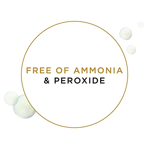 Clairol Advanced Gray Solutions Light Golden Chestnut, 0.21 Oz, Pack of 1