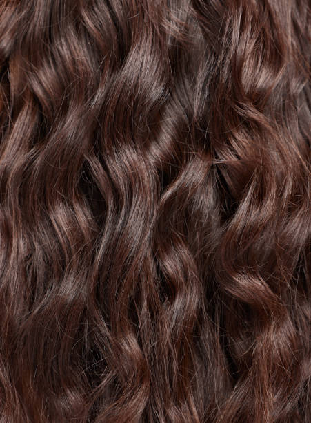 Long Wavy Brown Wig